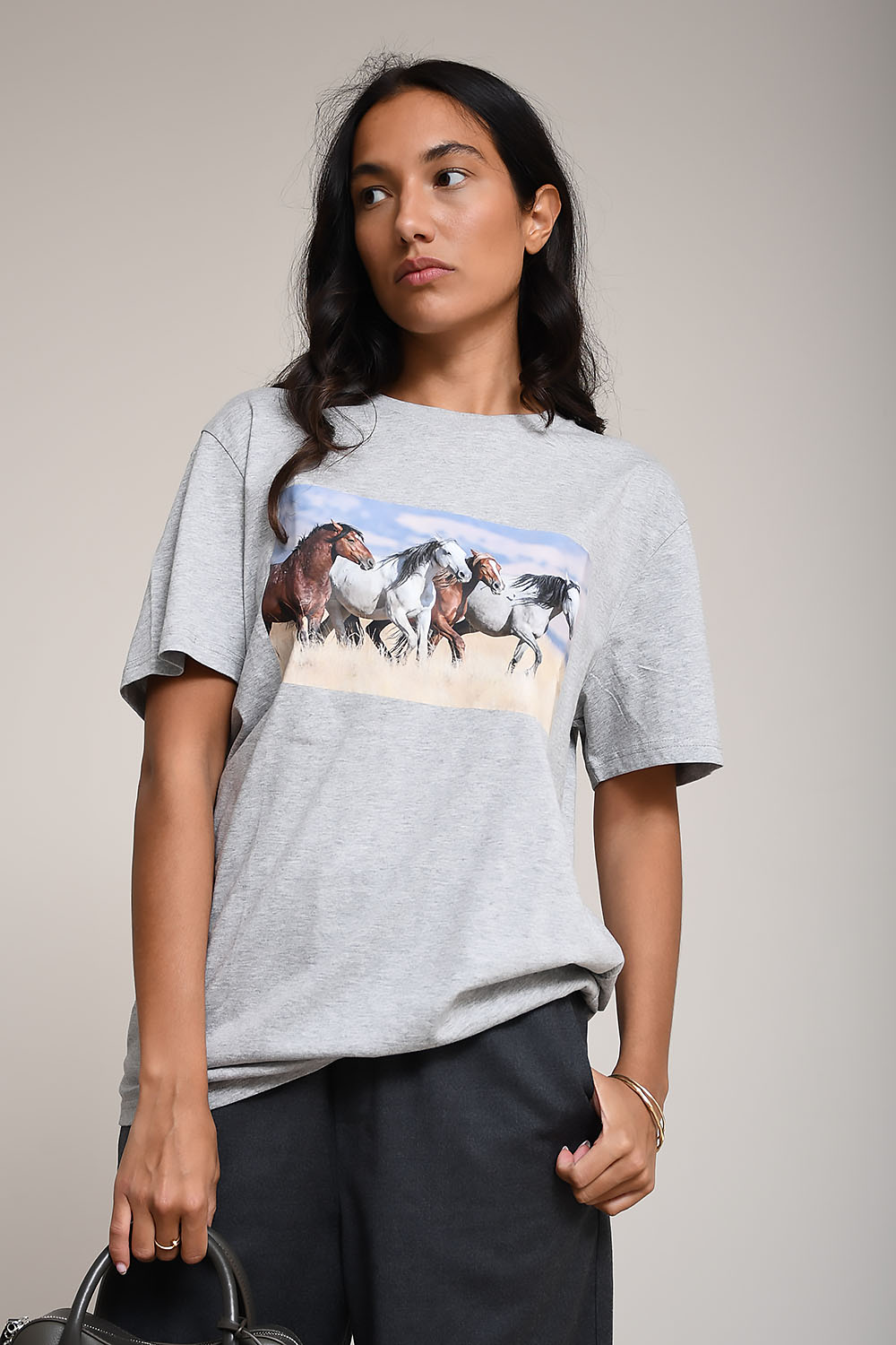 AVDW - Barn horses t-shirt