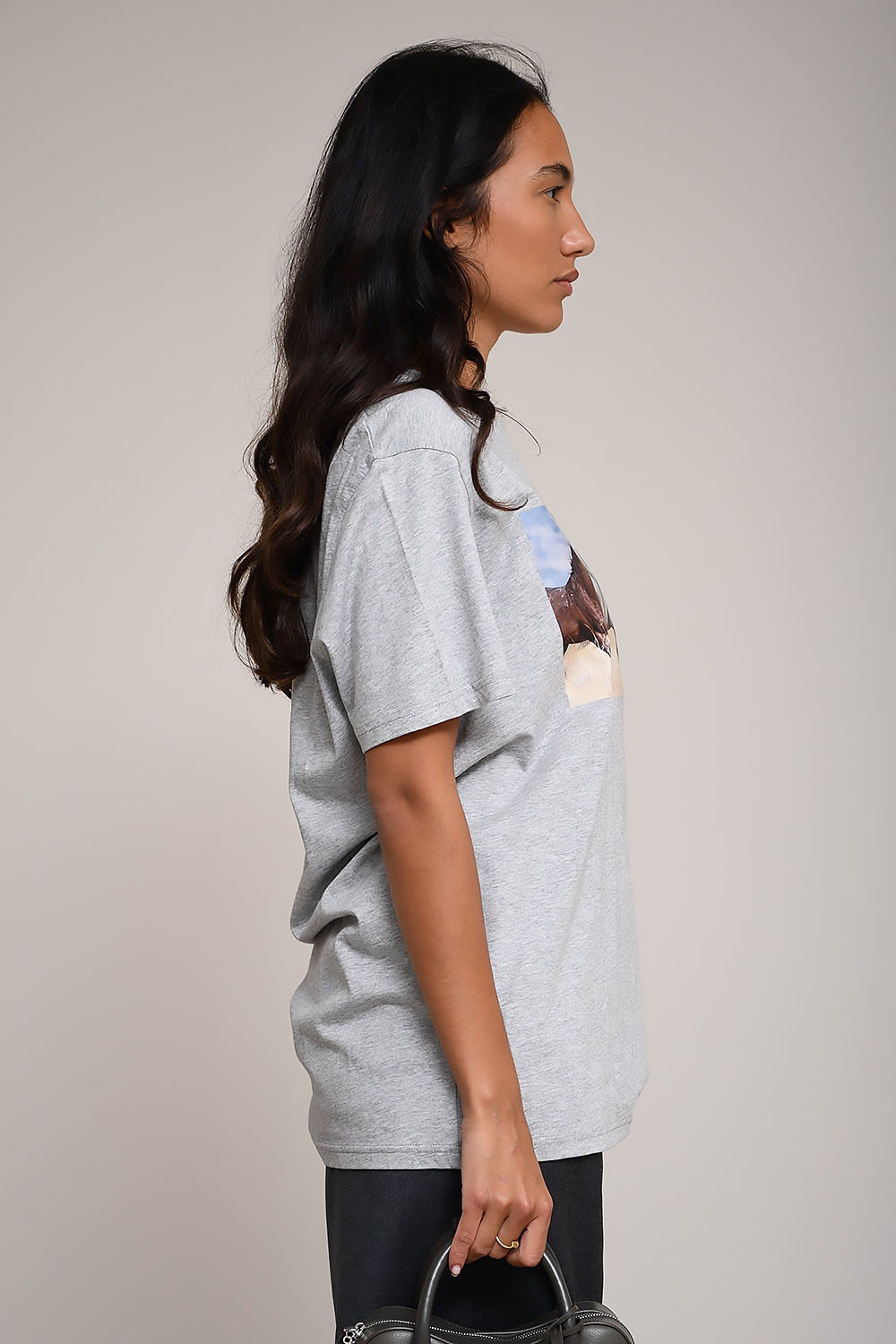 AVDW - Barn horses t-shirt