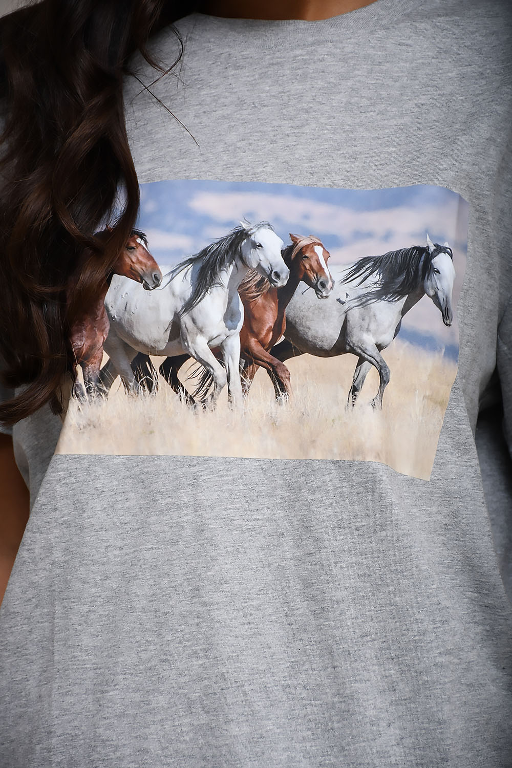 Barn horses t-shirt