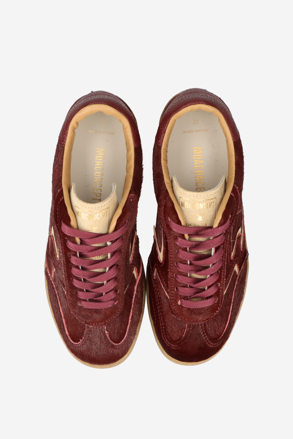 Club deluxe horsy sneakers